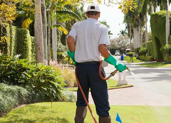 About Fort Laramie WY Pest Control